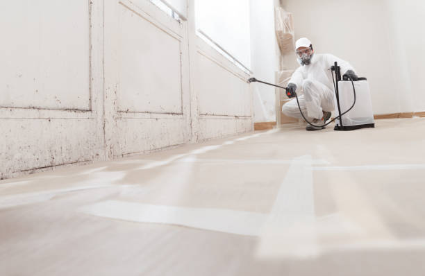 24/7 Emergency Mold Remediation experts in Dublin, PA